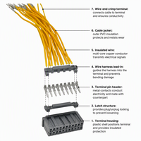 TE D-1000 2,5mm Gehäuse-Kabelkonfektion Industriesteckverbinder Blaue Kabelstränge 22AWG Verzinntes Kupfer für Geräteverkabelung