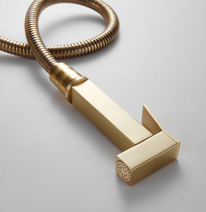 Grifo de cocina moderno de una sola manija en oro cepillado Instalación de un solo orificio con bidé extraíble Válvula de cerámica Núcleo Aerosol lateral - Product Image 4