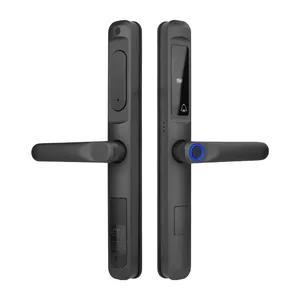 OYO инновационные замки Intelligente электронная биометрическая ручка Wifi Двойная дверь гаража Блокировка по отпечатку пальца для деревянных дверей