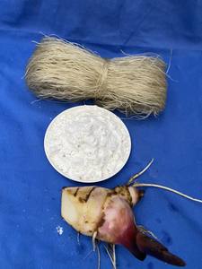 วุ้นเส้นเวียดนามคุณภาพสูง ขายดี ผลิตในเวียดนาม - Product Image 3