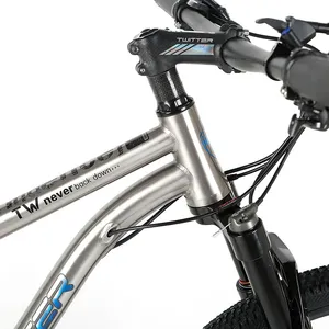 Bicicleta de Montaña <span class=keywords><strong>MTB</strong></span> de Aleación de Titanio 29er, 12 Velocidades, Horquilla de Aleación de Magnesio - Product Image 3