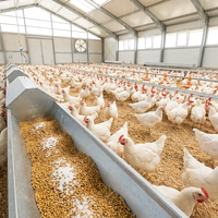 Carbonate de Calcium (CaCO3) de Qualité Alimentaire, Poudre Blanche, CAS 471-34-1, pour Prémélange Alimentaire et Produits Chimiques Inorganiques pour Usines d'Aliments pour Animaux