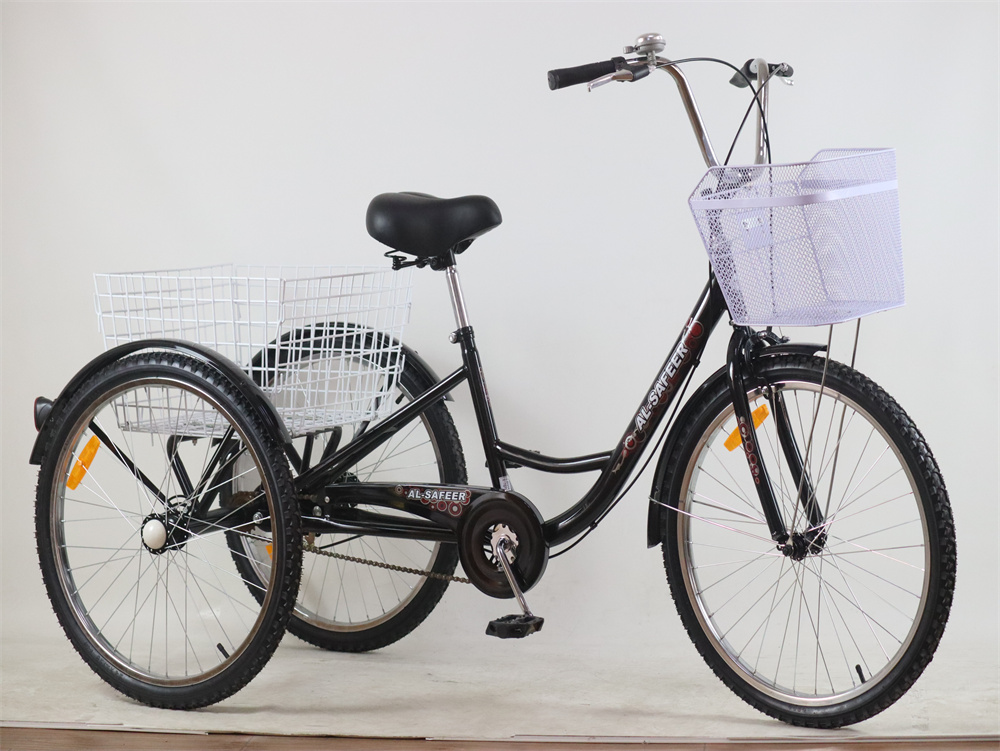 heavy duty 3 wheel bicycle Adult 3-Wheel Cargo Ebike WHALE 2.0 with Metal Frame suitable for rider height Sdlanch Brand 250cc Black Heavy