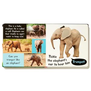 Noisy Baby Animals comprend six sons <span class=keywords><strong>mon</strong></span> premier <span class=keywords><strong>livre</strong></span> <span class=keywords><strong>sonore</strong></span> pour enfants - Product Image 3