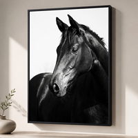 Impression murale Cheval Noir : Portrait Équestre pour Salon, Bureau, Hôtel, Ferme – Inspiré des Intérieurs Contemporains