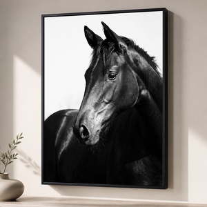 Stampa d'Arte Murale Cavallo <span class=keywords><strong>Nero</strong></span>, <span class=keywords><strong>Ritratto</strong></span> Equestre per Soggiorno, Ufficio, Hotel, Ranch, Ispirazione per Interni Contemporanei - Product Image 5