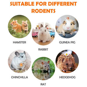 Venta al por mayor de China Timothy Hay Treats Rabbit Toys Bunny Toys <span class=keywords><strong>Guinea</strong></span> Pig Toys Masticables naturales - Product Image 3