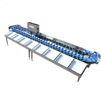 Kehong Automatische Fijne Weegschaal voor Groenten & Fruit met Geluidsarme Sensor & PLC Technologie