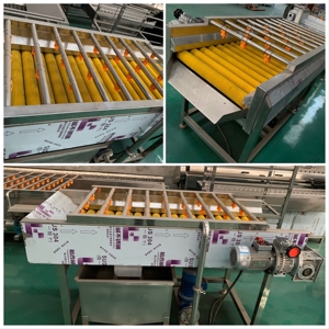 <b>Vegetable</b> Cleaning Machine For Cassava Sweet Potato Carrot Radish Potato Washing Equipment - Product Image 6