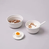 Service de vaisselle de luxe en porcelaine coréenne, 4 pièces, fait main, résistant au four et au lave-vaisselle, style minimaliste, forme ovale