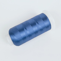 100% Viscose Écologique Brillant Lustre Broderie Fil 120D/2 Filament Teint Couleur pour Tricot Couture Motif Brut