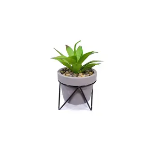 Custom logo the most popular new design cement planter succulent pot with iron farme