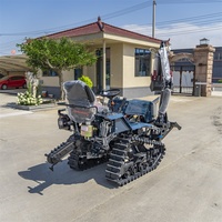 Motoculteur à chenilles diesel Euro 5 pour verger avec moteur à engrenages et roulement de pompe