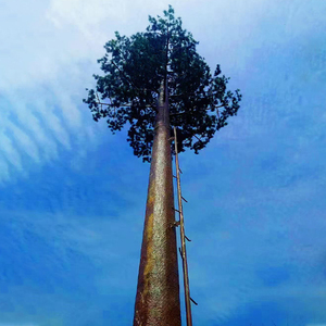 Thép ngụy trang cây cọ tháp viễn thông với chống sét nhúng nóng bề mặt mạ kẽm 15m-80m Chiều cao - Product Image 4