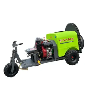 200 Liter mist blower sprayer agricultural for greenhouse vineyard working diesel engine power sprayer