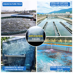 Difusor de oxígeno de aire puro Micro Nano Bubble para acuicultura, transferencia de oxígeno disuelto alto, estanque de peces de cerámica para piscifactoría - Product Image 4