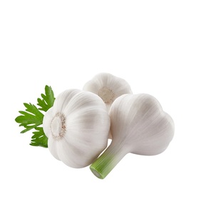 <span class=keywords><strong>Poudre</strong></span> <span class=keywords><strong>d</strong></span>'extrait <span class=keywords><strong>d</strong></span>'<span class=keywords><strong>ail</strong></span> de haute qualité, produit chinois, 5% <span class=keywords><strong>d</strong></span>'allicine <span class=keywords><strong>d</strong></span>'<span class=keywords><strong>ail</strong></span>, en emballage en fût - Product Image 3