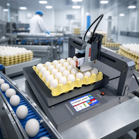 Impresora de Inyección de Tinta Industrial de Escritorio con Eje XY, Pantalla Táctil de 5 Pulgadas para Etiquetas de Fecha de Caducidad de Huevos, Código de Lote