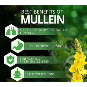 OEM Supplément à l'extrait de feuille de molène Gummies de feuille de molène Nettoyant Soutient la santé pulmonaire et respiratoire Apaise l'irritation de la gorge - Product Image 4