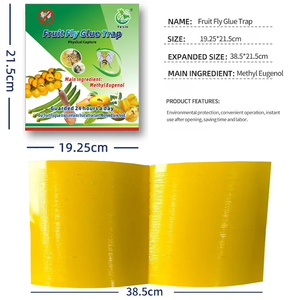 Không độc hại không thấm nước chống nắng Bug Catcher Vàng Sticker trái cây Fly Trap trang trại ngoài trời Vườn bán buôn Trung Quốc Nhà cung cấp - Product Image 4