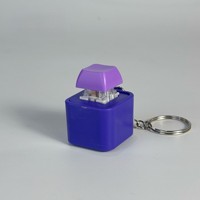 Speaker Mini Rechargeable Plastik yang Dapat Direkam, Gantungan Kunci dengan Tombol Suara, Liontin Kreatif Anime Custom, Pereda Stres