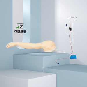 Modelo Completo de Brazo para Venopunción y Acceso Venoso, Entrenamiento de Habilidades de Venopunción, Práctica de Inyección Intramuscular e Intradérmica - Product Image 3