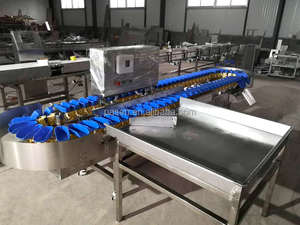 Machine de tri automatique pour niveleuse de poisson Machine de classement d'huîtres de <span class=keywords><strong>mer</strong></span> Machine de classement de fruits de <span class=keywords><strong>mer</strong></span> - Product Image 3