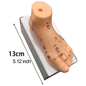 Model akupuntur kaki 13cm, titik akupunktur refleksi kaki manusia, alat bantu mengajar Pijat Model kaki - Product Image 5