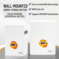 Système de stockage d'énergie solaire domestique mobile complet de 60 kWh avec batterie LiFePO4, protection IP65, silicium monocristallin
