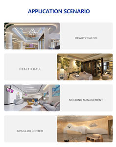 Masajeador Portátil Cuatro en Uno para Alivio del Dolor Corporal, Tecnología de Microcorriente para Rostro y Cuello, Dispositivo de Fisioterapia para Uso Doméstico (Metal ABS) - Product Image 5