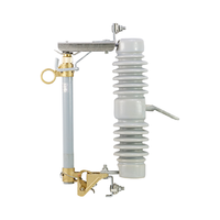 RW12-12 Fusible de coupure céramique extérieur haute tension 12 kV, capacité de coupure 20 kA, fonction d'indication pour transformateur de puissance