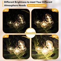 Guirlande lumineuse LED G40 de 25 pieds G40, Patio, cour et Patio, économie d'énergie