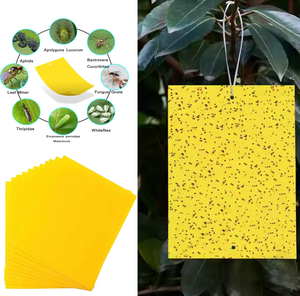 Pièges à colle jaunes en papier personnalisés en gros, tailles variées, pour l'agriculture professionnelle et l'agriculture durable - Product Image 4