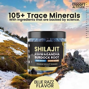 Shilajit Gummibärchen Reine Himalaya-Energie & Ausdauer Gedächtnisunterstützende Nahrungsergänzung mit Ashwagandha, Klettenwurzel, Meeresmoos, Löwenmähne - Product Image 5