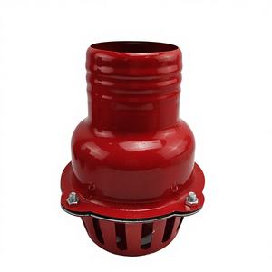 Pompe à eau à moteur à essence avec entrée de 2 pouces, avec clapet anti-retour WP20 et filtre de type panier, valve de base incluse - Product Image 4