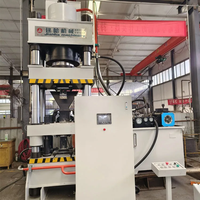 Presse hydraulique à servomoteur 500T pour la fabrication de blocs d'aliments pour bovins et ovins, haute productivité, équipée de dispositifs antirouille