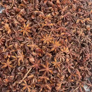 SFG SFG Logistics yellow and red star anise, high-quality star anise spice