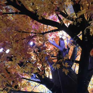 شجرة قيقب بلاستيكية اصطناعية مزخرفة مع أضواء ليد أوراق حمراء كبيرة للاستخدام في الحديقة الترفيهية في الهواء الطلق (عمر <span class=keywords><strong>10</strong></span> سنوات) - Product Image 4