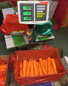 Carottes fraîches biologiques de Chine, légumes surgelés exportés, y compris des bandes de carottes en vrac de Chine - Product Image 4