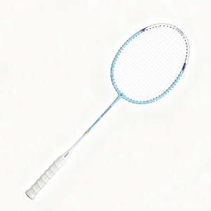 Racchetta da Badminton in Lega di Ferro YC-007 - Alta Qualità, Leggera, Resistente per Amatori, Junior, Sport all'Aperto e Allenamento - Product Image 1