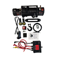 Vente directe usine – Treuil électrique haute qualité 12/24V 12000 livres avec câble en acier pour grues automobiles, télécommande, Chine