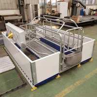 Caisse de mise bas de style européen pour porcheries Stalle chaude en métal pour la gestation des truies Équipement de porcherie à vendre