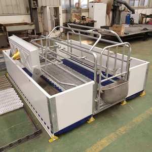 Phong cách Châu Âu farrowing <span class=keywords><strong>Crate</strong></span> cho lợn trang trại kim loại ấm gian hàng cho lợn nái mang thai piggery thiết bị để bán - Product Image 5