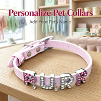 Breloques en strass de 10 mm, lettres de A à Z, perles alphabétiques argentées pour bracelets, colliers pour animaux de compagnie, fabrication de bijoux DIY