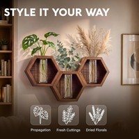 Vente en gros de jardinières murales hexagonales en bois foncé avec vase en verre, propagation hydroponique, OEM ODM, décoration murale miniature personnalisée