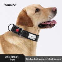 Collier réfléchissant pour chiens de taille moyenne à grande - Conçu pour les Cocker Spaniels, Golden Retrievers, Shiba Inus, Berger Allemands;