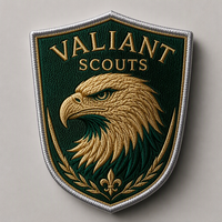 Écusson de scout premium personnalisé brodé avec fixation auto-agrippante pour uniforme extérieur, bordure durable, service de vente en gros direct usine