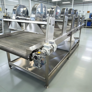 Ligne <span class=keywords><strong>de</strong></span> lavage <span class=keywords><strong>de</strong></span> poisson avec nettoyage et transport continu pour les usines <span class=keywords><strong>de</strong></span> transformation des aliments congelés - Product Image 4