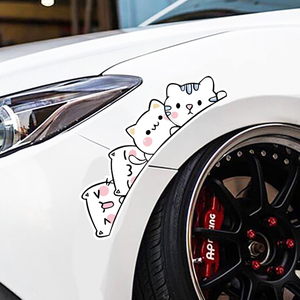 Autocollant de pneu de voiture personnalisé, design amusant, autocollants de pare-chocs, logo 3D, autocollants de dessin animé pour véhicule, décoration DIY - Product Image 5