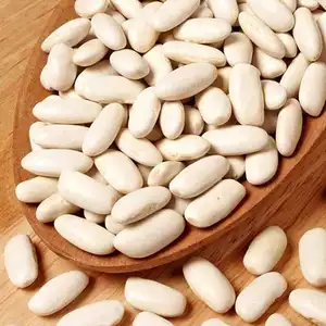 Kacang ginjal putih berkualitas tinggi dijual, mudah untuk memasak dan mudah membusuk